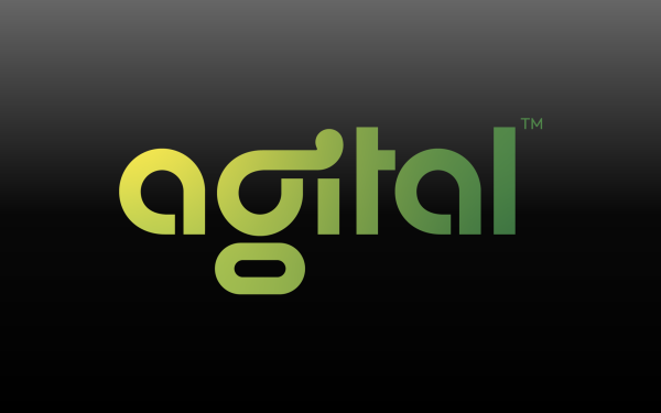 Agital: The New Force in Digital Marketing