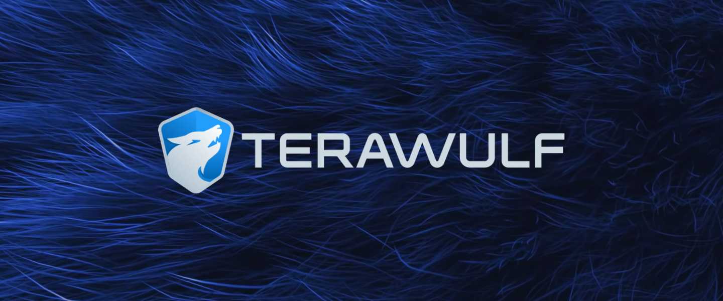 REQ TeraWulf Case Study