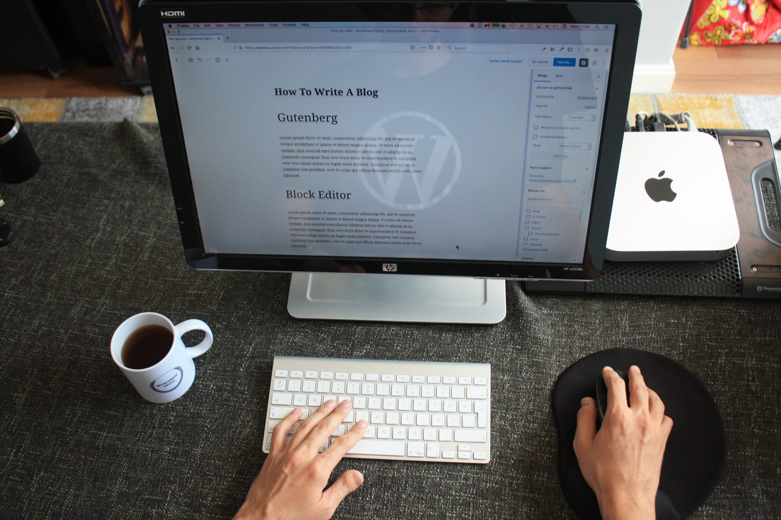 Meet Paul, REQ’s New WordPress Developer