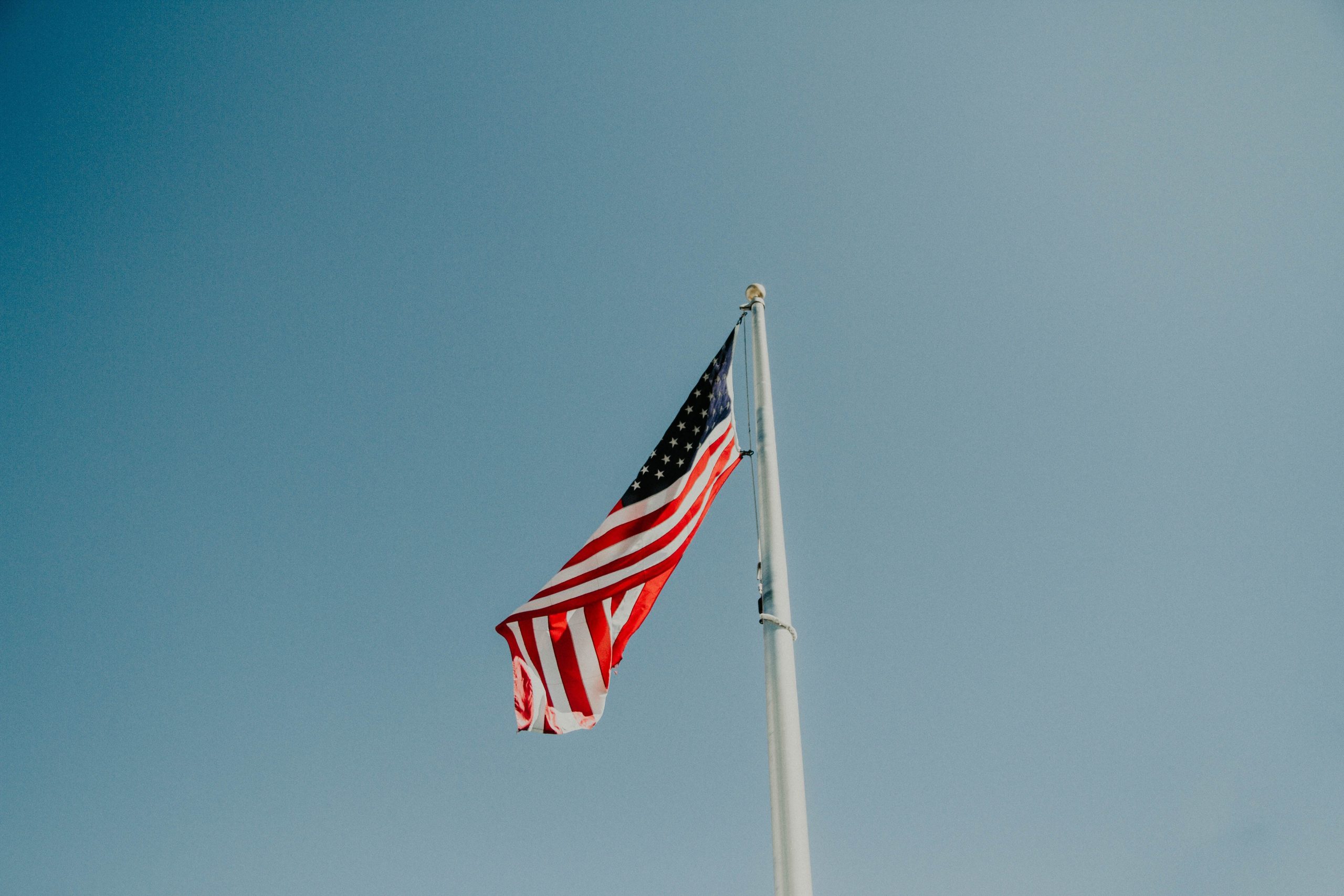 Understanding the Government-buying season