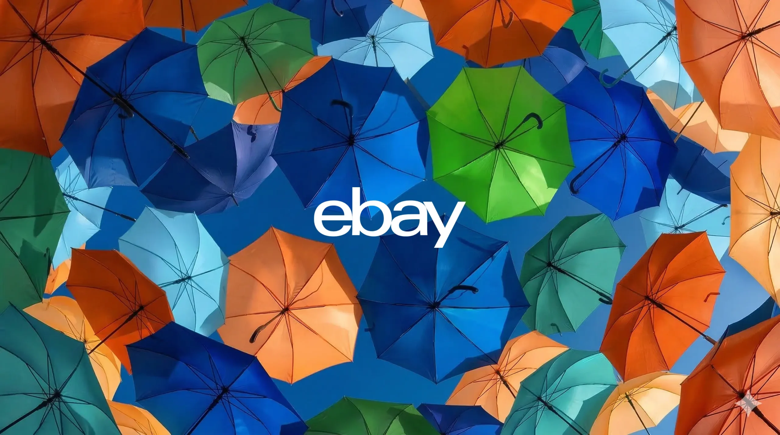 Empowering Small Business Owners and E-Commerce Advocates